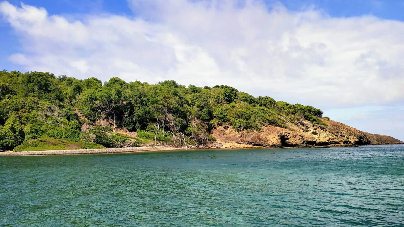 Plage tropicale de Martinique bordée de végétation