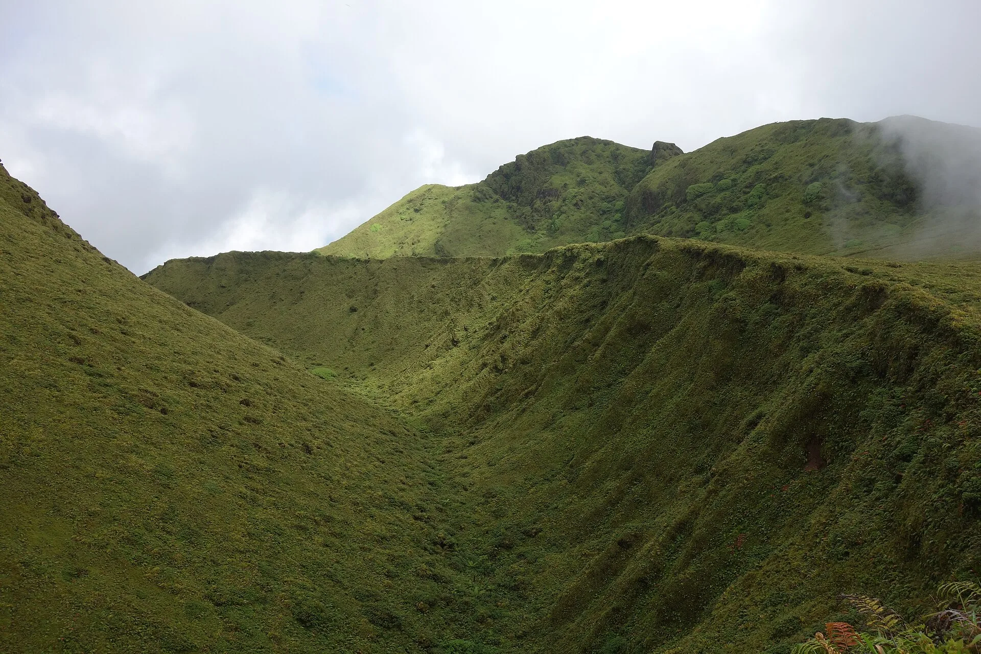 Jour 4 : la montagne Pelée ou les gorges de la Falaise