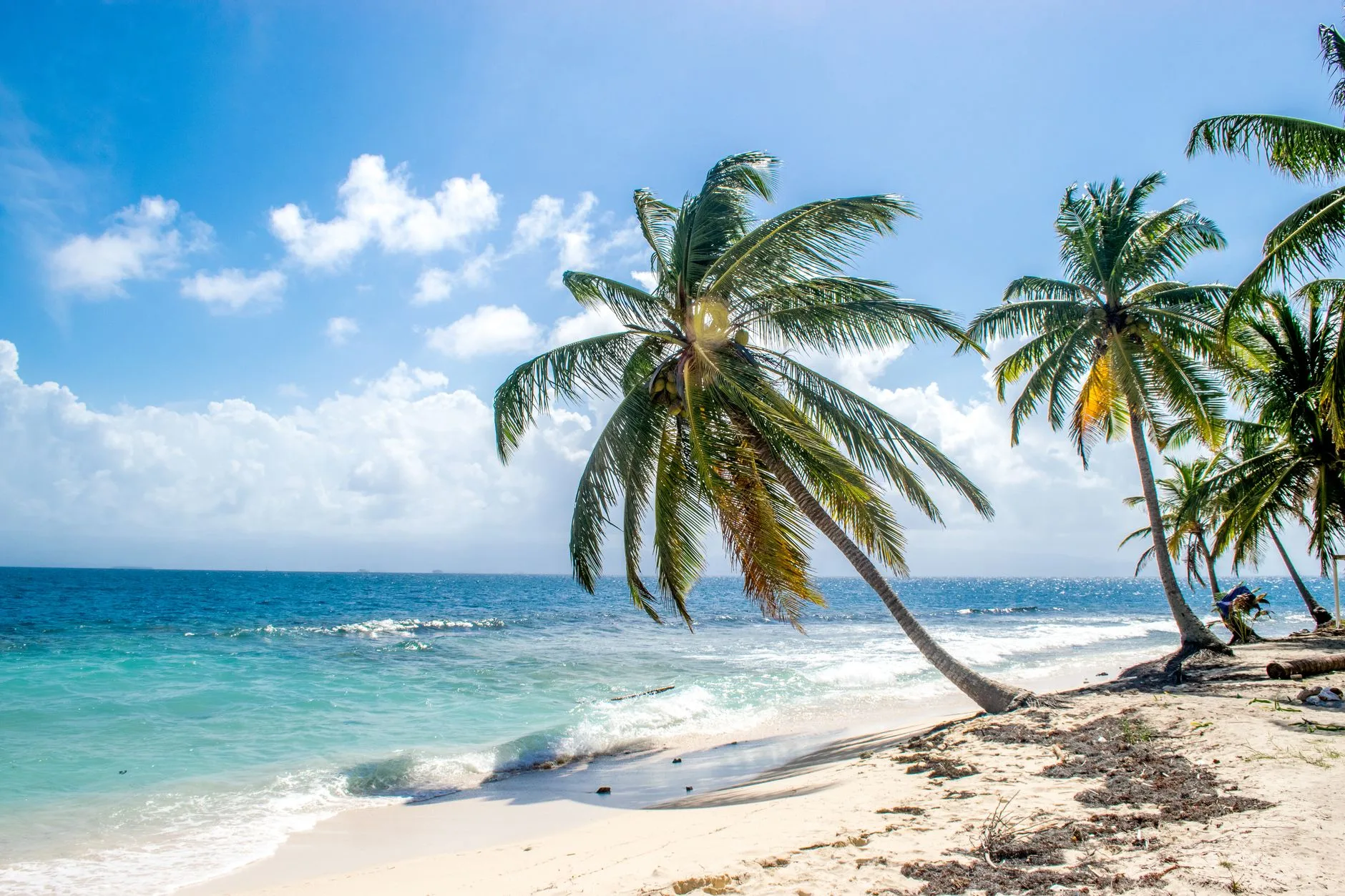 Plage de sable blanc bordée de cocotiers et mer turquoise en Martinique