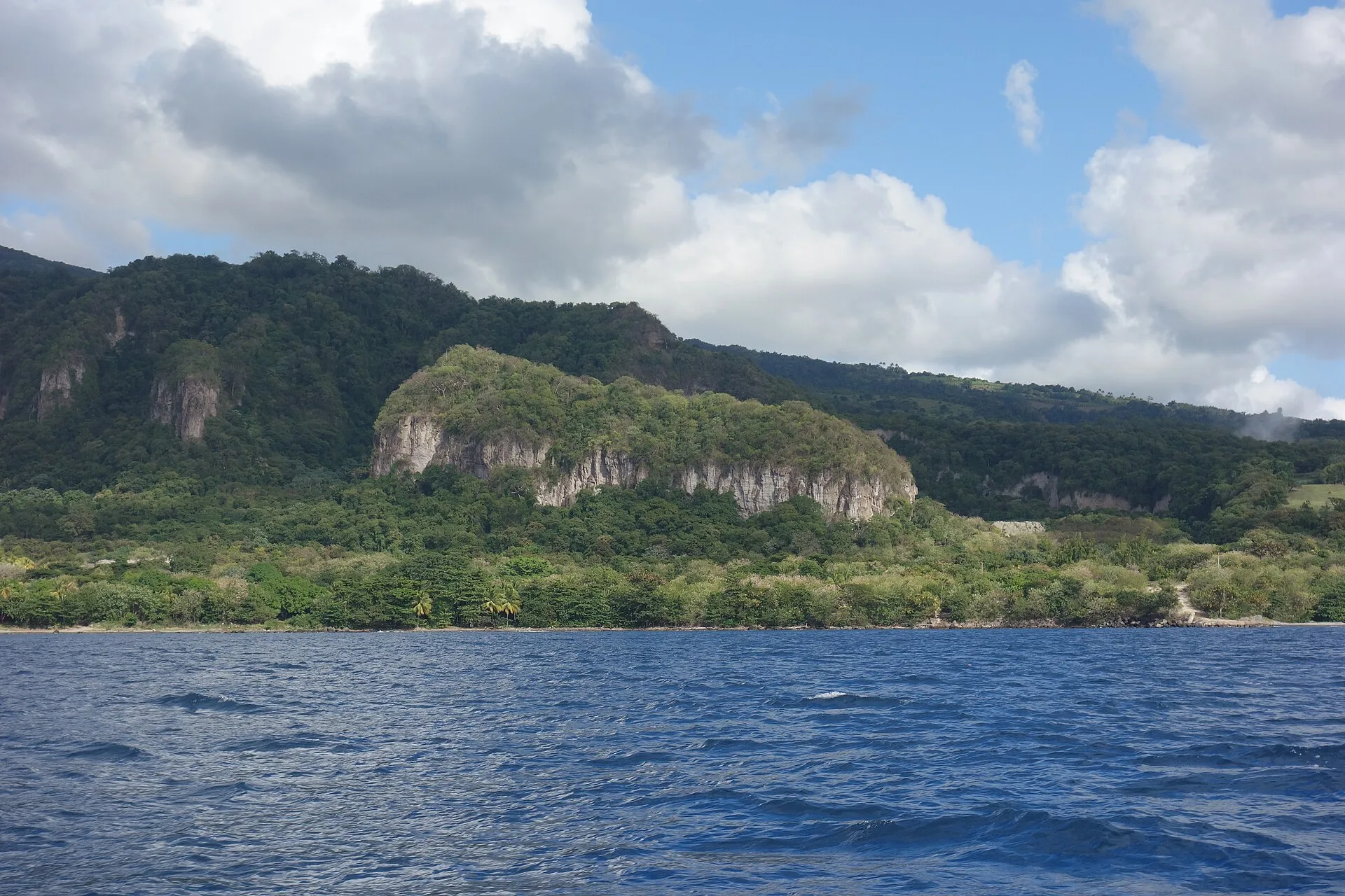 Paysage côtier de la Martinique, île du rhum agricole